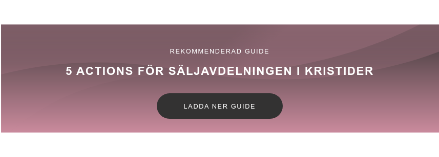 Rekommenderad guide  5 actions för säljavdelningen i kristider Ladda ner guide